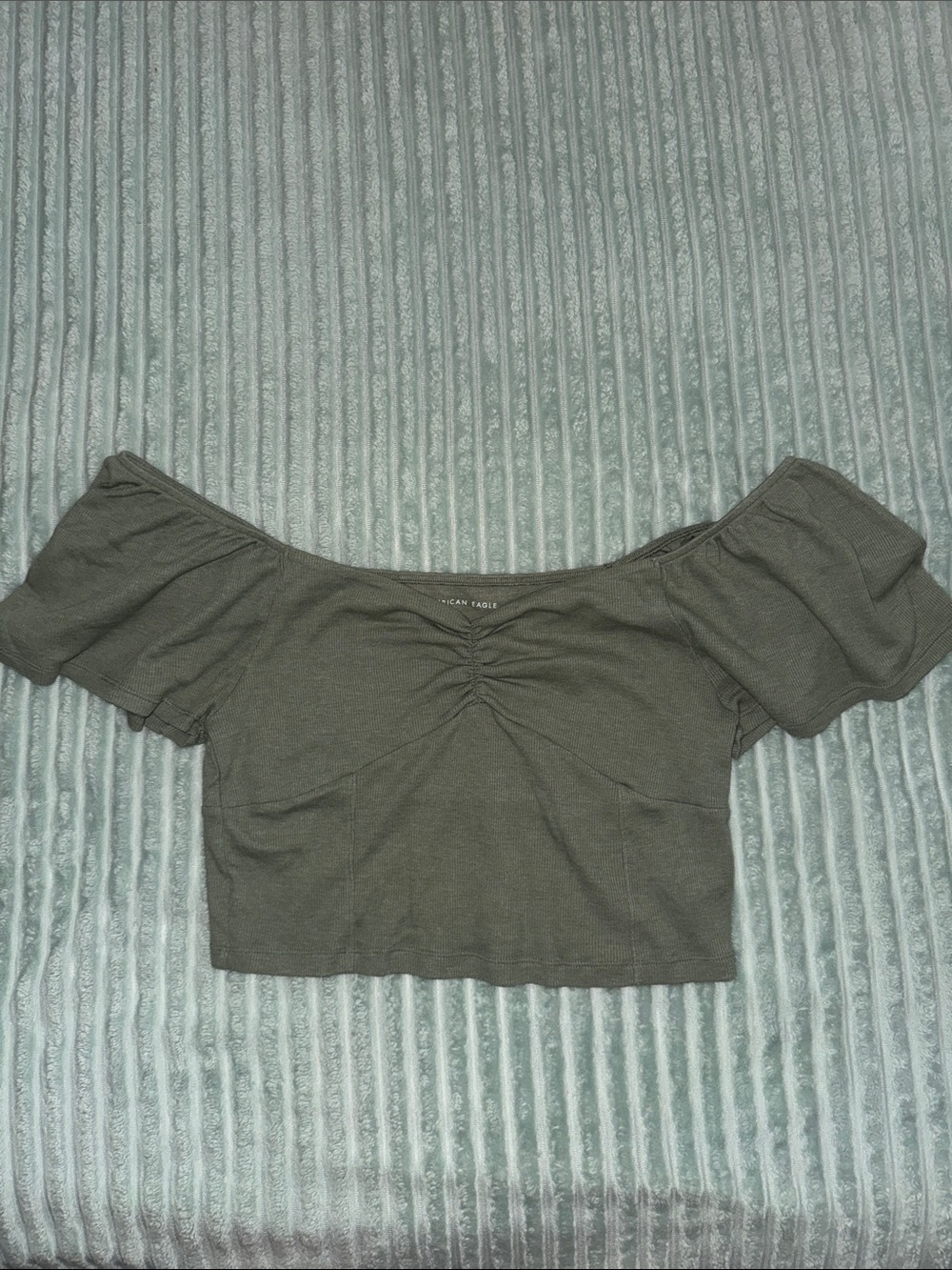 American Eagle Crop Top